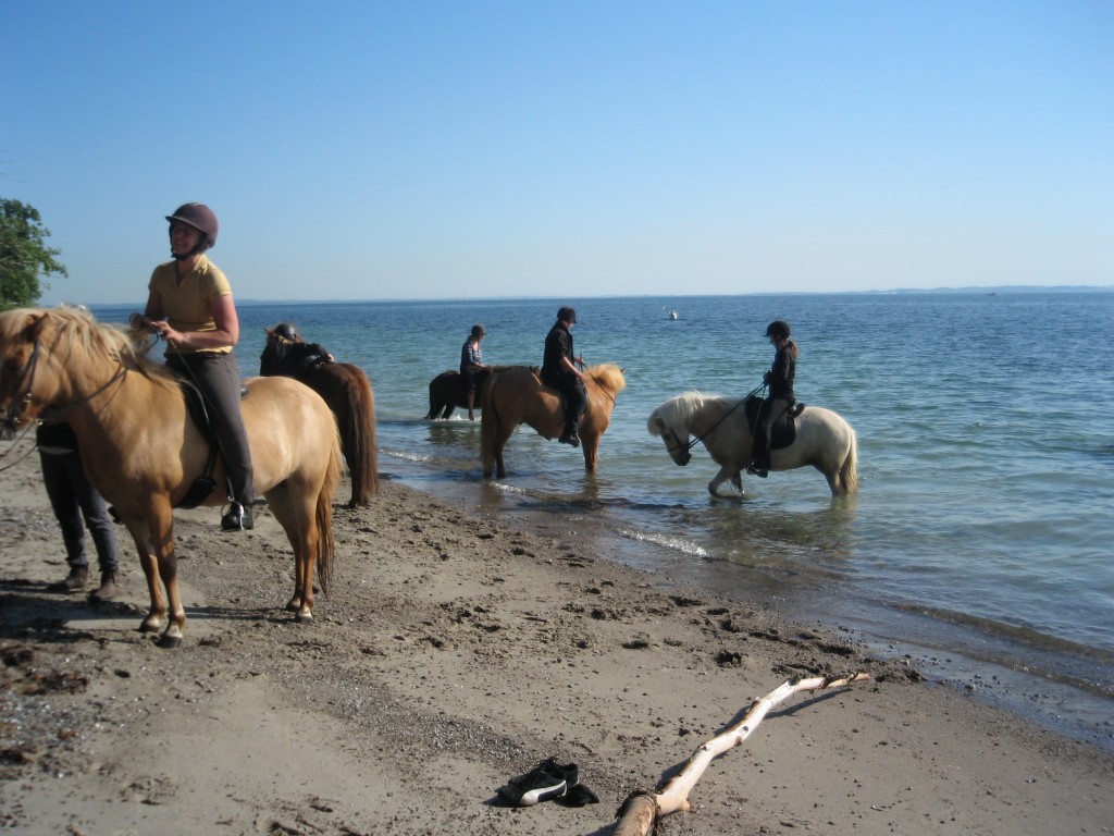 PÃ¥ tur til stranden